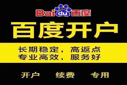 sem代运营机构经典案例：提升广告投放效果